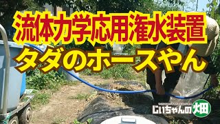 水道のない畑に半自動給水を試してみた。お遊びです。7/9