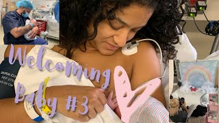 LABOR/NAME REVEAL/NEWBORN PHOTOGRAPHY BTS