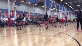 06 March 2016 - ASC Sydney Ely Volleyball #11