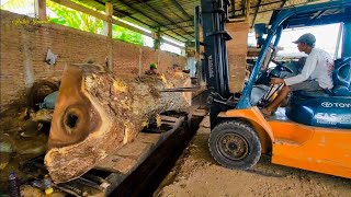 Gokil !!! Begini Kerja di tempat penggergajian kayu trembesi besar setiap harinya