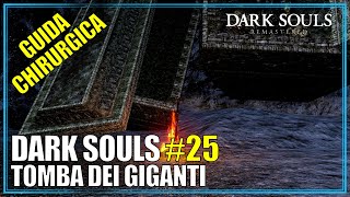 Tomba dei Giganti Guida Completa Dark Souls Remastered 25