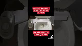 HACK for keeping toilet bowl clean for 30 days and how to keep bidet from smelling. Toilet bowl hack