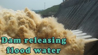 WATCH! The releasing of flood water from Hirakud Dam, Syphon, Athara hajaar (18000)