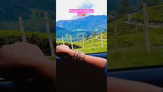 Munnar Diaries 💚🩵🌲🌳⛰️🌍 #shortvideo #trending #bangalore #dailyvlog #shorts #travelvlog #travel #life