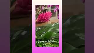 Happy Mother’s Day