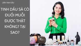 Tinh dầu sả có đuổi muỗi được thật không? Vì sao?