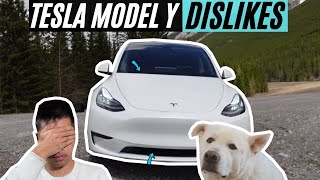 Tesla Model Y dislikes