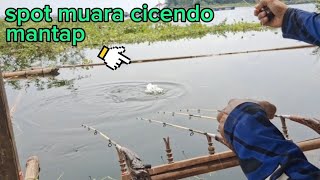 mancing cirata// spot muara cicendo