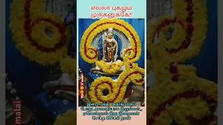 #tamil கடவுள் முருகன் whatsapp status video tamil#shorts#trending #god#viral#murugan#murugan video