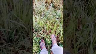 Aaj to gya tha main 😂|| Adventure || Ye hai Vikas 😂|| #vlog #villagelife #shorts