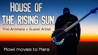 The House of the Rising Sun | The Animals 🌞😎