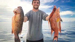 Catching Mangrove Snapper & Hogfish Offshore Tampa Bay