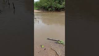 muita chuva pessoal em nossa região.