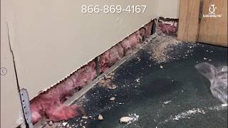 Flood Remediation Services | Flood Damage Pro