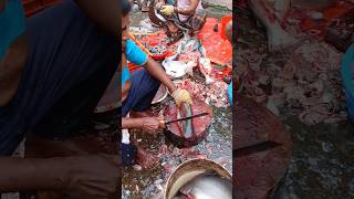 Amazing Pangash Fish Cutting Skills #ytshorts#shorts_videos  #Fish Cutting 💥💥