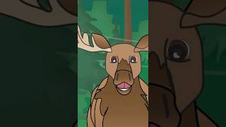 I’m a Big Old Moose #educational #kidssongs #animalsong