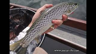 Fly Fishing Lough Owel.