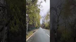 #kashmir #travel #autumn #youtube #youtubeshorts #shorts #viral #trending