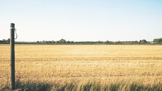 Sony a6500 - Beerenfeld | Deutschland, Bayern