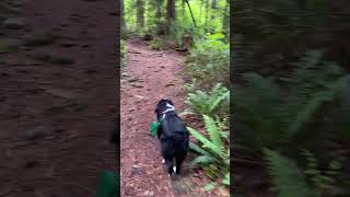 Hiking, carrying my own poop bag