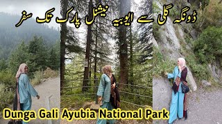 Dunga Gali Pipe Line Track || Ayubia National Park || Walking Tour Family Vlog