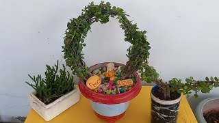 Jade plant decoration idea ,  jade plant topiary kaise banaye