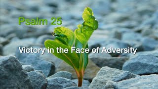 Psalm 25 Victory in the Face of Adversity