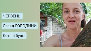 ЧЕРВЕНЬ огляд ГОРОДУ все висихає / утеплення вікон  VLOG