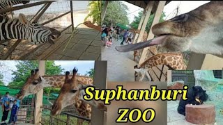 Bung Cha Wak Zoo in Suphan Buri, Thailand.