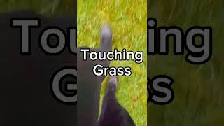 TOUCHING GRASS PART 286/365 🎅🎄🎇 #touchinggrass