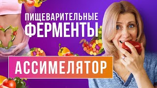 Ассимилятор // Пищеварительные ферменты // Энзимы