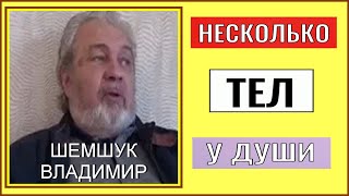 УЗНАЙ СКОЛЬКО ТЕЛ У ДУШИ. Шемшук Владимир.#познавательное #рекомендации #шемшук #душа