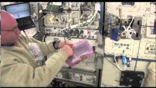 Installation of Nanoracks Customer Payload on Station.flv