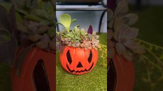 Aprende a hacer una calabaza de suculentas. Decoración para tu hogar #jardin #homedecor #halloween