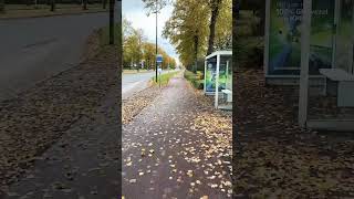 Biking Through the Fall Colors: A Relaxing Ride 🍁🚴