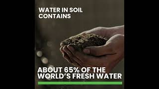 World Soil Day