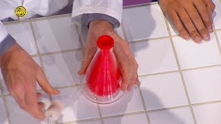 Le ballon coincé dans la bouteille - Défis Cobayes - France 4