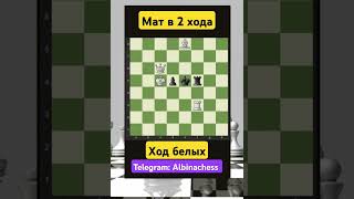 Telegram: Albinachess #chess #шахматы #chorts