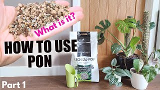 How to use Lechuza PON part 1 - What is PON - Convert plants to soil free - Get rid of fly gnats