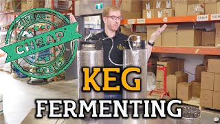 Fermenting in a Corny Keg: This Is What You Need to Know!