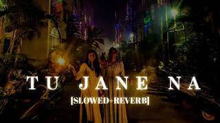 Tu Jaane Na Lofi  [Slowed Reverb] - || Kumar_MT 🎧