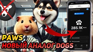 PAWS: СРОЧНО! РАЗДАСТ БОЛЬШЕ ЧЕМ NOTCOIN И HAMSTER KOMBAT? ПРОСТО ЗАБЕРИ ДРОП!