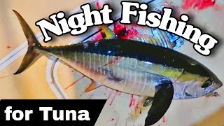 Night Fishing for Tuna and Mahi Showed Up