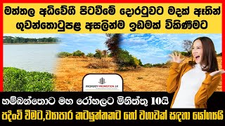 අක්කරයක මිල රු.ලක්ෂ 30  ||  BAB498822: Land for Sale in Mattala, Hambanthota