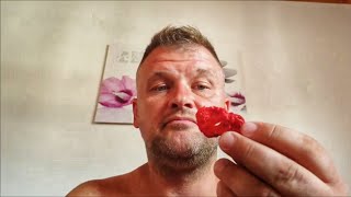 Carolina reaper  NO PROBLEM !!!