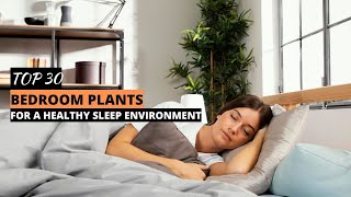 Top 30 Bedroom Plants For Better Sleep & Health