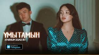 Арайлым Әбілсейіт - Ұмытамын (Official Audio Video)