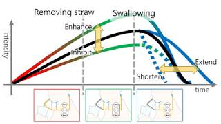 【CHI2019】 Controlling Temporal Change of a Beverage's Taste Using Electrical Stimulation