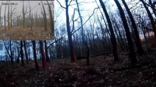 Vortex 285 slow fly in woods