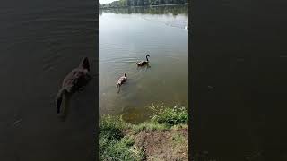 Первая рыбалка, на реальном водоеме с трофеями.